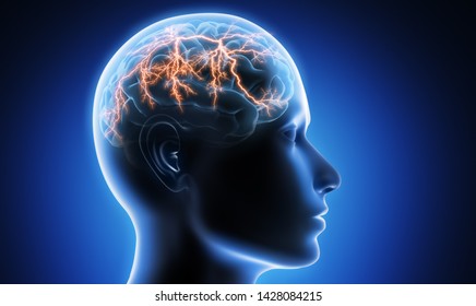 Head with brain - 3d Illustration