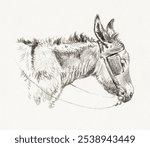 Head of a donkey (1821) by Jean Bernard (1775-1883). Black and white donkey animal portrait sketch. Vintage black and white donkey animal art drawing illustration, old painting art print of animal.