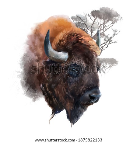 The head of a European bison. Watercolor illustration