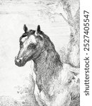 Head of a horse (ca. 1725-1792) print in high resolution by Aert Schouman. Horse sketch illustration. Vintage horse animal art drawing illustration, farm animal old painting art print.