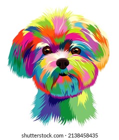 head of Little color dog in pop art