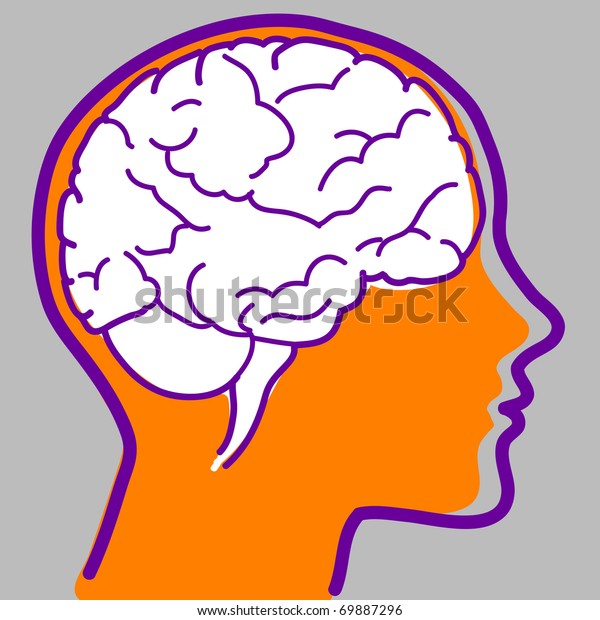 Head Profile Brain Visible Stock Illustration 69887296