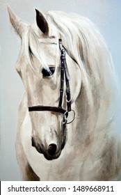 Head In Profile A White Horse. Oil Painting