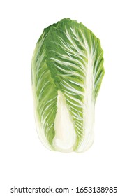 白菜 葉 のイラスト素材 画像 ベクター画像 Shutterstock