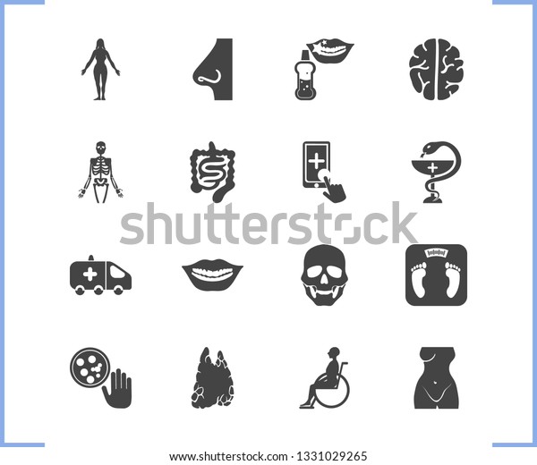 Healthcare icon set and scull with thymus, woman\
body and skeleton. First aid car related healthcare icon  for web\
UI logo\
design.