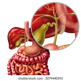 Healthy Bile Duct Concept With A Gall Bladder And Liver As A Medical Illustration Of The Digestive System Representing A Health Care Concept And Human Organ Anatomy With 3D Render Elements.