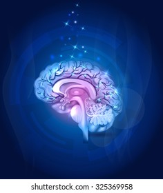 Healthy Brain Cross Section, Vessels, Detailed Illustration Abstract Blue Background. 