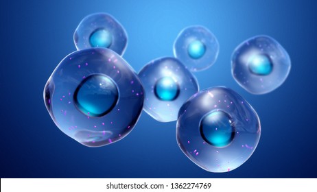 Healthy Cells With Mitochondria 3d Illustration