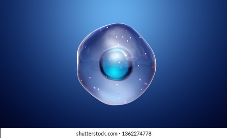 Healthy Cells With Mitochondria 3d Illustration