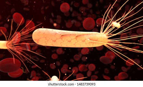 Healthy Gut Flora Bacteria Microbe For Healthy Gut  - 3D Render