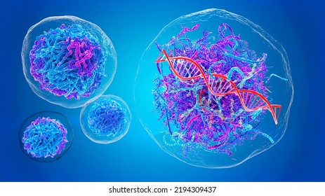 Healthy Human Cell And Malignant, Cancer Cell Destroying DNA, 3D Rendering