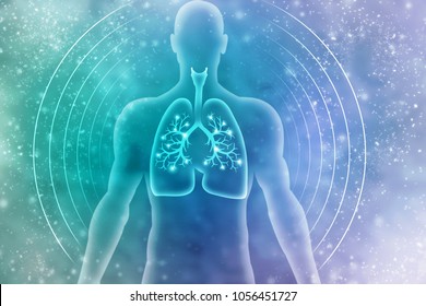 Healthy Human Lungs 2d Illustration
