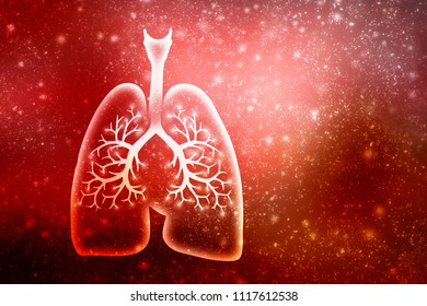 Healthy Human Lungs 2d Illustration Stock Illustration 1294355644