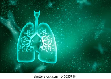 Healthy Human Lungs 2d Illustration Stock Illustration 1406359394 ...