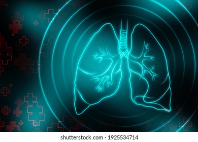 Healthy Human Lungs 2d Illustration

