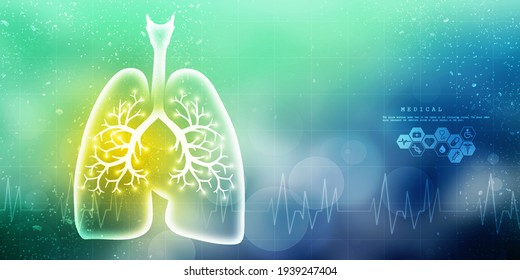 Healthy Human Lungs 2d Illustration
