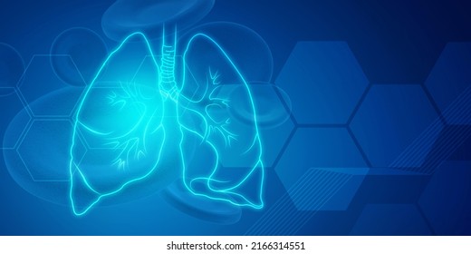 Healthy Human Lungs 2d Illustration Stock Illustration 2166314551 