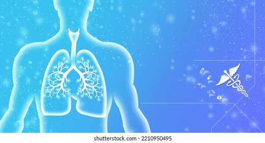 Healthy Human Lungs 2d Illustration