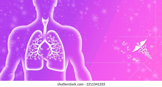 Healthy Human Lungs 2d Illustration