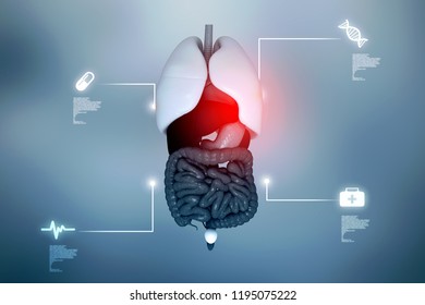 Cell Anatomy Beautiful Mesh Background Medical Stock Vector (royalty 