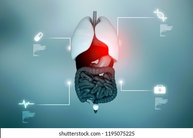 Cell Anatomy Beautiful Mesh Background Medical Stock Vector (Royalty ...