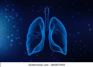 Healthy Human Lungs 3d Illustration Stock Illustration 1843071943 ...