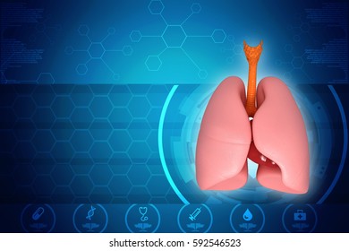 Healthy Human Lungs 3d Illustration Stock Illustration 592546523 ...