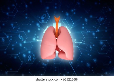 Healthy Human Lungs 3d Illustration Stock Illustration 685216684 