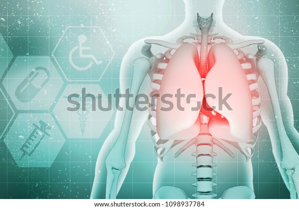 Healthy Human Lungs 3d Illustration Stock Illustration 1098937784 7594