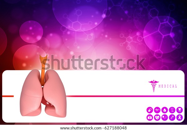 Healthy Human Lungs 3d Illustration Stock Illustration 627188048 Shutterstock 5751