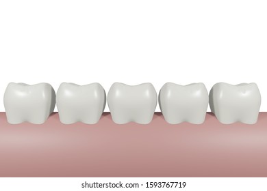 Healthy Teeth In The Series, 3D Illustration