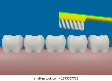 Healthy Teeth In The Series, 3D Illustration