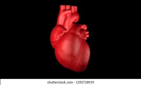 Heart 3d Render