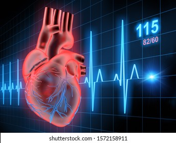 Heart With ECG - 3d Illustration