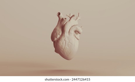 Corazón anatomía humana alfarería