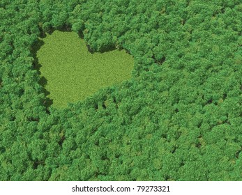 Heart shape in forest