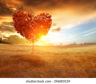 Heart Tree In The Field 