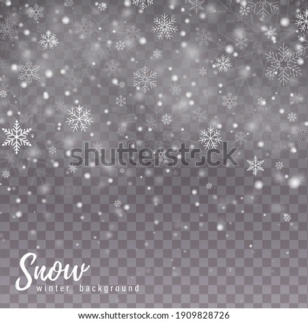 Heavy snowfall in different shapes and forms. Falling Christmas snow. Realistic falling snowflakes isolated on transparent background. 