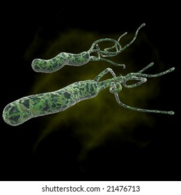 Helicobacter Pylori