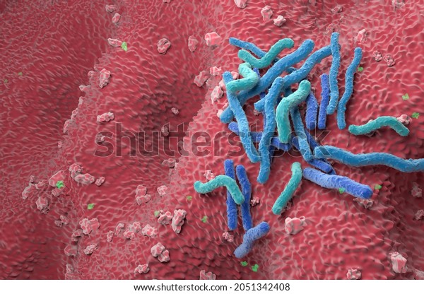 Helicobacter Pylori Bacteria field on the\
stomach wall - angle view 3d\
illustration