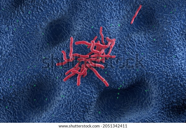 Helicobacter Pylori Bacteria field on the\
stomach wall - top view 3d\
illustration