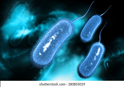 Helicobacter Pylori Bacterium