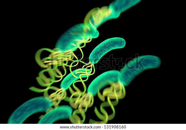 Helicobacter Pylori Bacterium High Details Stock Illustration 131908160