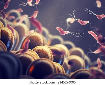 Helicobacter Pylori Is A Gastrointestinal Bacterium That Can Affect The Stomach Lining And Cause Ulcers Or Even Cancer. Gastrointestinal Bacteria And Gut Microbiome Composition, 3d Illustration