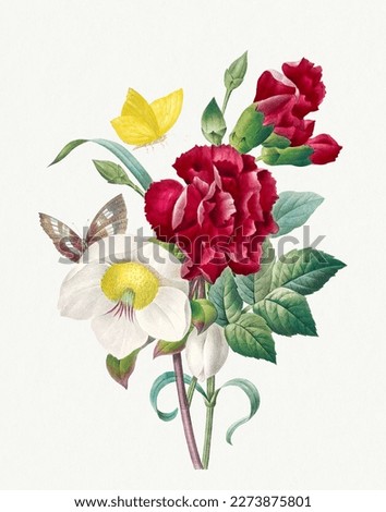 Hellebore and Oeillet bouquet. Beautiful flower illustration. Vintage flower painting. Vintage flower illustration for wall art.
