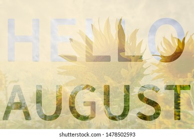 Hello August text over field of sunflowers. - Powered by Shutterstock