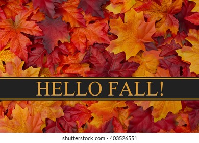 Hello Fall Message, Fall Leaves Background and text Hello  Fall