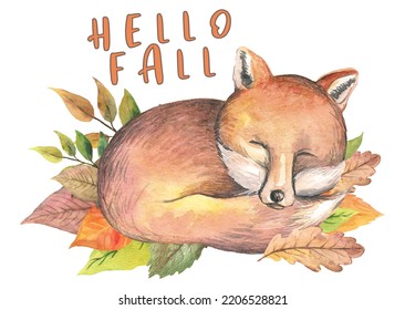 Hello Fall Sublimation, Cute Sleeping Fox in Leaves Illustration, Thanksgiving Greeting Cards