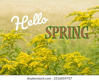 Hello spring text on background with flowers. Spring season
