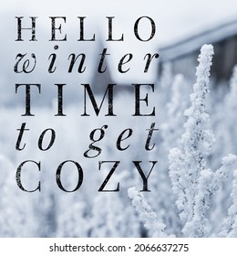 Hello winter, time to get cozy. Hand written lettering quote. Cozy phrase for winter or autumn time. Modern calligraphy poster. Inspirational winter sign with trees pattern.  - Powered by Shutterstock